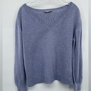 Everlane Blue Heathered V-neck Sweater size S
